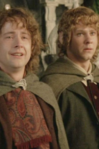 Lord of the Rings, The: The Return of the King